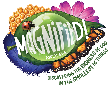 Kids Kamp Logo